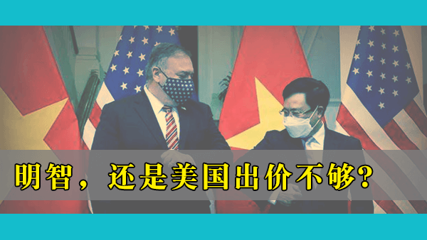 越南无论在国际政治还是经济关系中都颇得美国厚爱，为什么其拒绝与美国合作遏制中国？